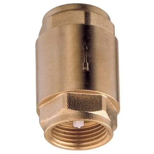 AG Spring Check Valve 1″ BSP Female