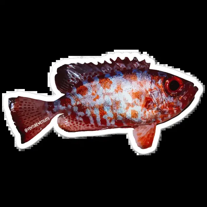Aweoweo Sticker