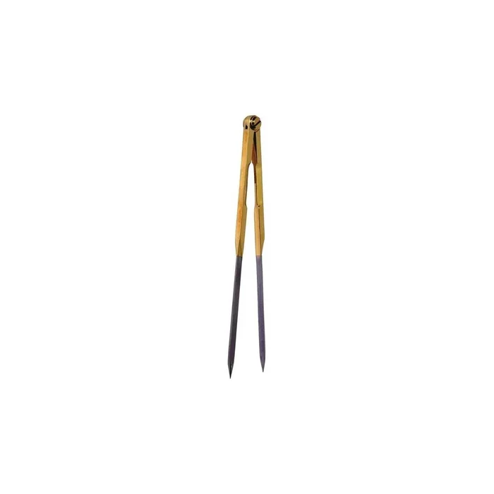 Classic Brass Divider for Nautical Chart 200mm N100414621392