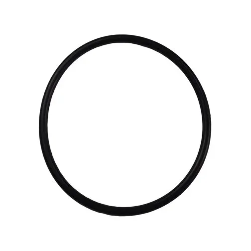 Jabsco Pumpgard Large Bowl O-Ring