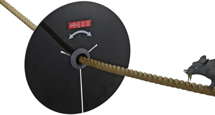 Rotatable rat guard