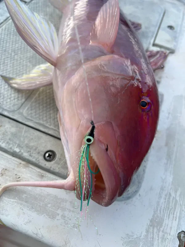 Screamah Flies (3PK)