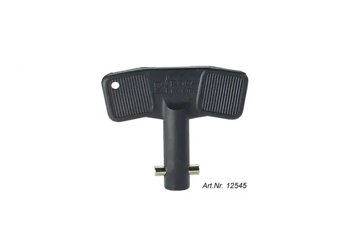 Spare key for battery disconnector