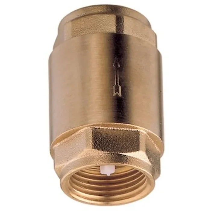 SPRING CHECK VALVE 1/2inBSP 1-71401