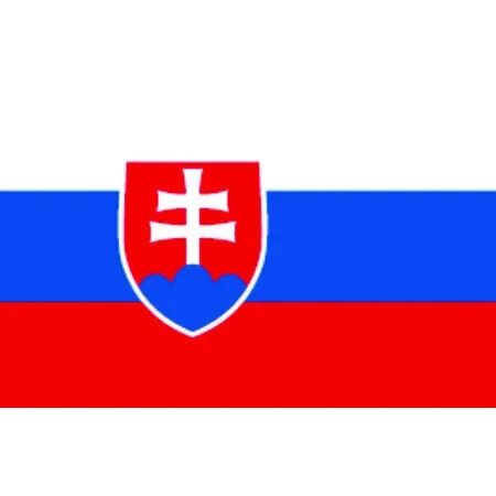 Talamex Slovakia Flag (20cm x 30cm)