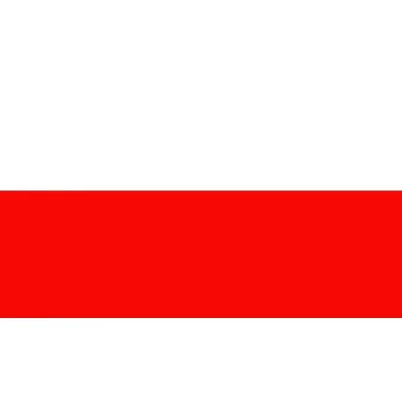 Talamex Thuringen Flag (20cm x 30cm)